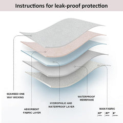 [FDA] Durable Leak-Proof Briefs for Heavy Flow and Postpartum Use without PFAS